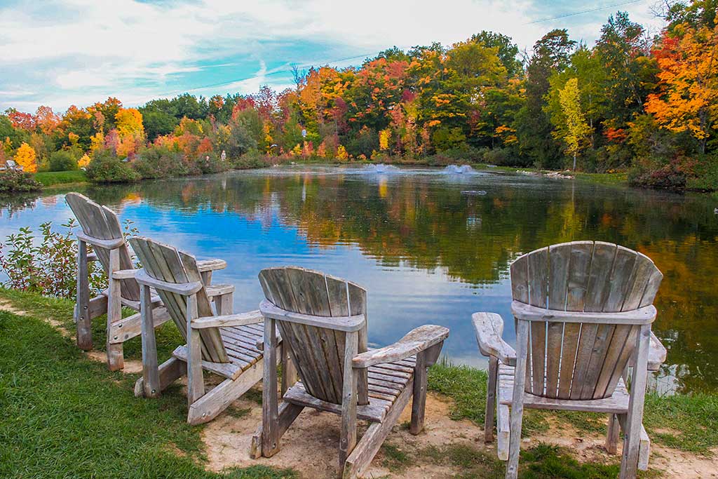 Web Analytics Consulting for Business Websites Web Analytics Consulting for Business Websites